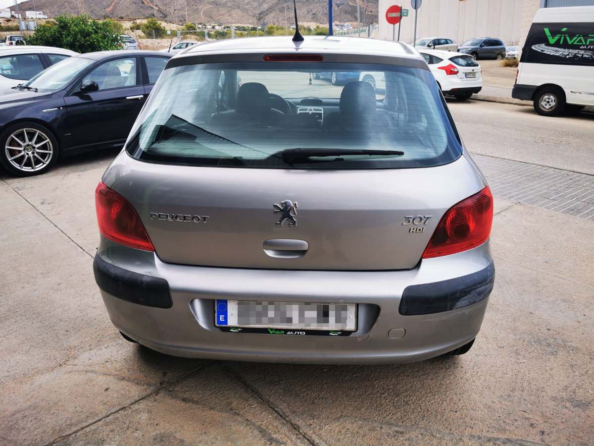 Peugeot 307 2.0 HDI 90 cv 2004