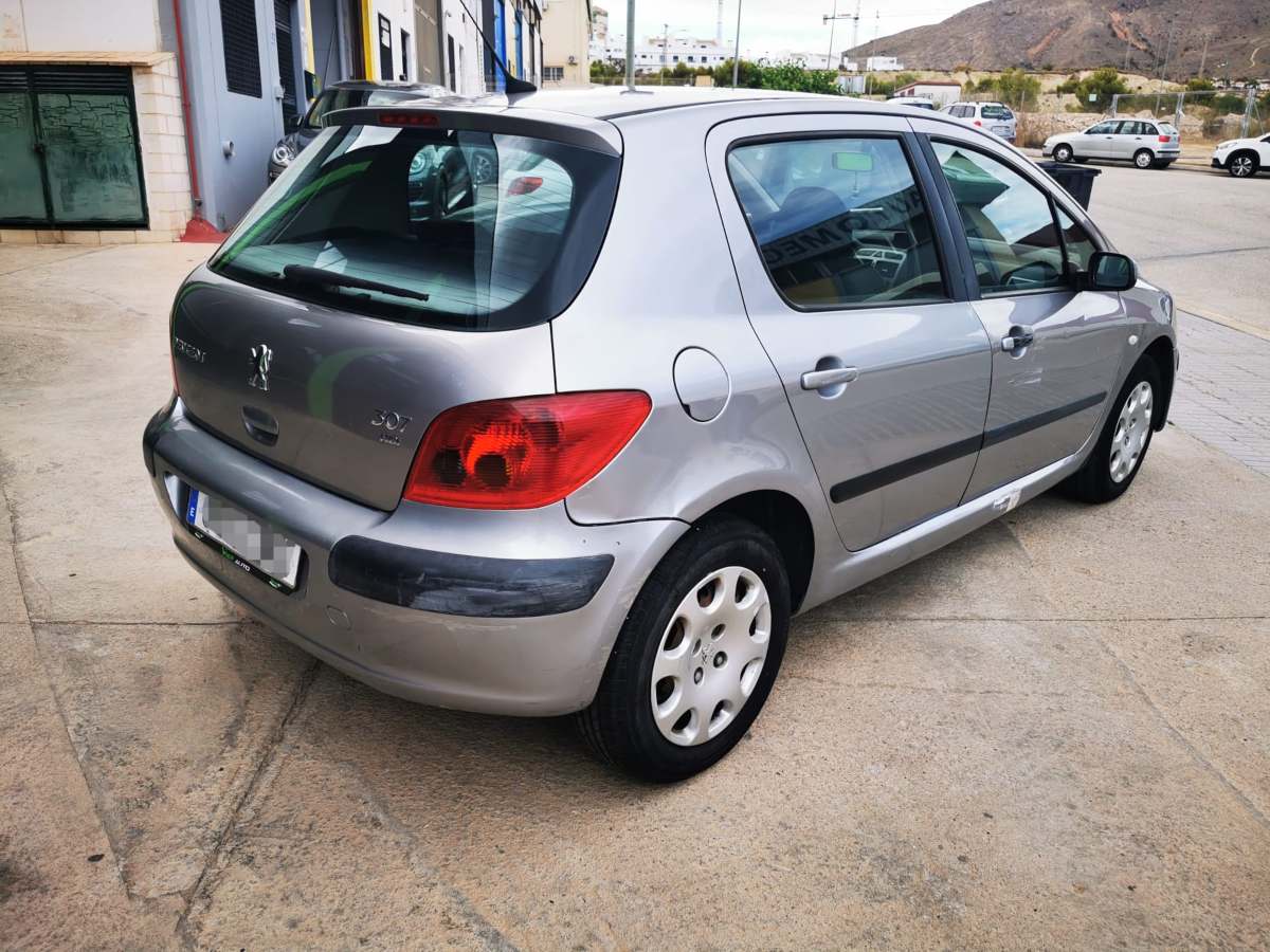 Peugeot 307 2.0 HDI 90 cv 2004